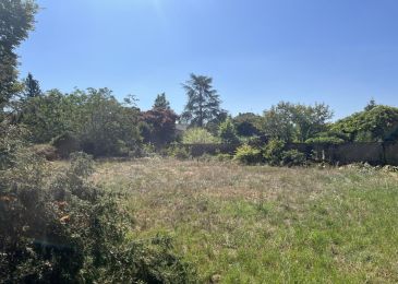 Terrain à vendre à Moulis-en-Médoc